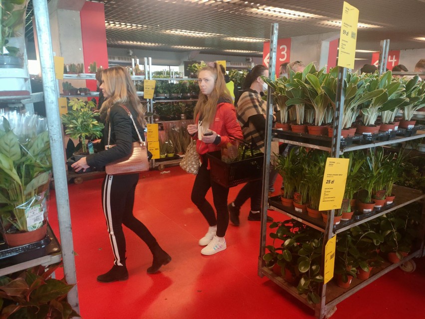 Festiwal Roślin na stadionie miejskim przyciągnął tłumy. Trzecia edycja największego targu roślin doniczkowych w Białymstoku rozpoczęta!