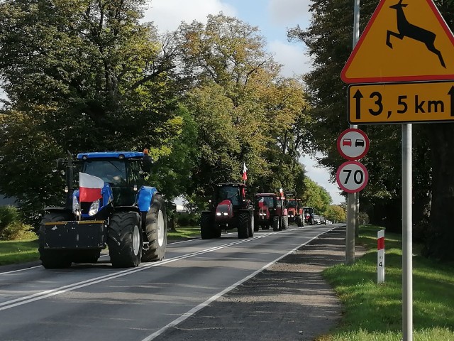 Blokada drogi DK22 na odcinku od ronda w Różankach, do Ronda Gdańskiego w  Gorzowie Wlkp. jest związana z protestami rolników, jakie odbywają się 7 października w całej Polsce. Są one wyrazem sprzeciwu wobec procedowanej w parlamencie tzw. "Piątce dla zwierząt", która m.in. uderza branżę futrzarską, ogranicza możliwość uboju rytualnego oraz wprowadza nowe, zdaniem niektórych kontrowersyjne, rozwiązania w zakresie ochrony praw zwierząt. W środę w Różankach już od godziny 7.00 gromadzili się rolnicy z Gorzowa i okolic. Przyjechali także mieszkańcy województwa zachodnio-pomorskiego. Na miejscu było 150 pojazdów, ale ludzi znacznie więcej. Protest rozpoczął się punktualnie o godzinie 10.00 i przebiega spokojnie. Czytaj również: Rolnicy blokuja drogi w Lubuskiem. Protestują!