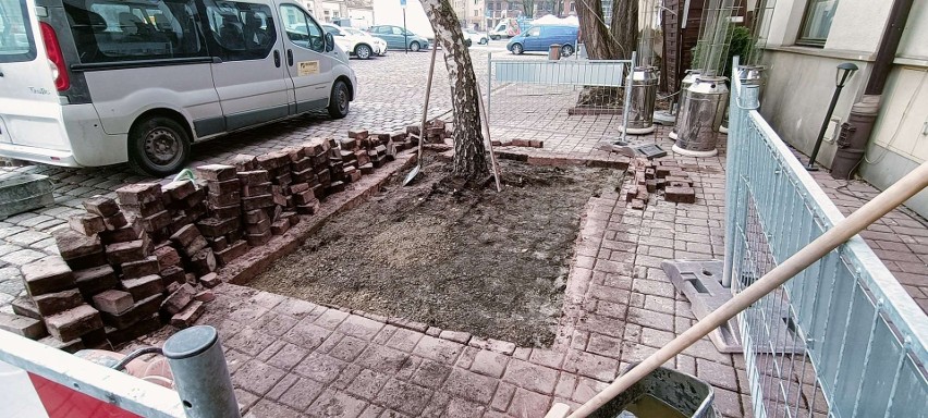 Kraków. Rozkuwają chodniki, by drzewa miały więcej miejsca