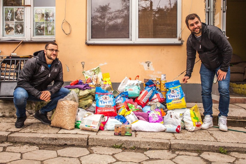 Zawodnicy PGE VIVE - Mariusz Jurkiewicz i Mateusz Kus...