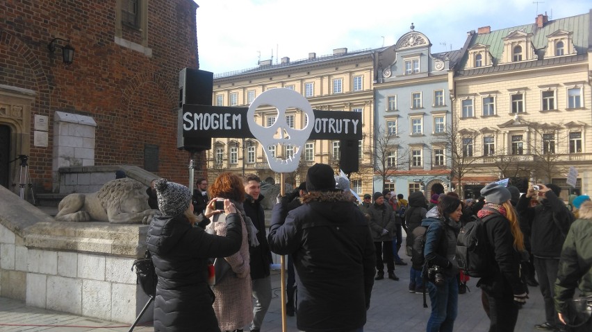 Czysty Protest, demonstracja antysmogowa w Krakowie