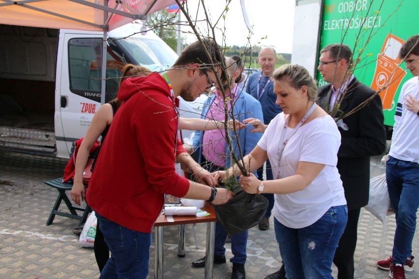 W piątek akcja we Włoszczowie - Zasadź drzewo i podaruj Ziemi oddech. Fundacja Jesteśmy Blisko rozda ponad 2500 sadzonek drzew [ZDJĘCIA]