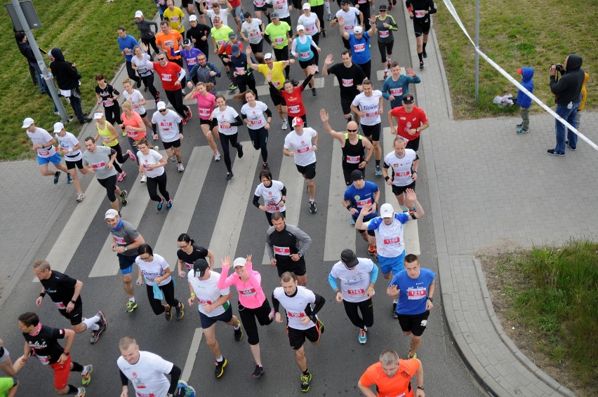 Run Toruń 2014