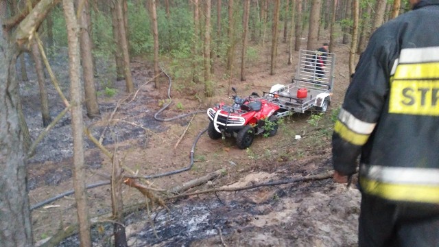 Pożar poszycia leśnego w Julianowie w gminie Belsk Duży.