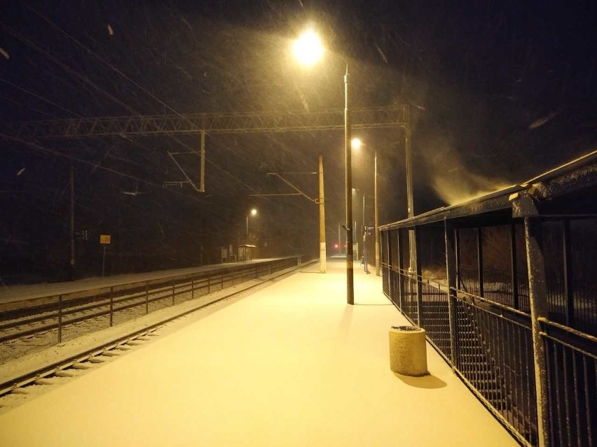 Śnieżyca we Wrocławiu. Nagła zmiana pogody i fatalna sytuacja na drogach Dolnego Śląska [ZDJĘCIA]