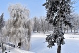 Powiało mrozem... jak na luty przystało. Park Miejski w Zamościu w mroźnej odsłonie wygląda baśniowo. Zobacz zdjęcia