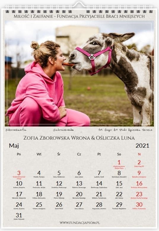 Kalendarz ma na celu pokazanie miłości do zwierząt oraz...