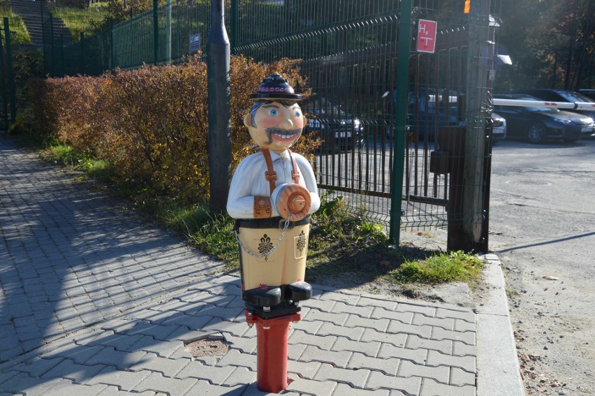 Zakopane. Hydrant po góralsku. Będzie takich więcej [ZDJĘCIA]