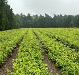 Fascynujące bogactwo i obfitość natury                                      