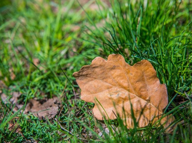 Pogoda na dziś, woj. kujawsko-pomorskie - 11.09.2014. Dziś będzie ciepło, parasole raczej się nie przydadzą