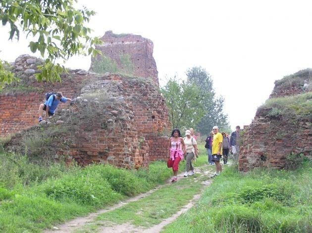 Mieszkańcy chcieliby, aby przy ruinach gotyckiego zamku pojawił się punkt widokowy i mały amfiteatr.