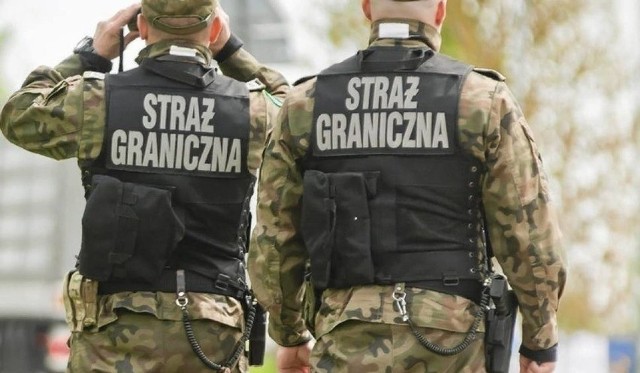 Straż graniczna na lotnisku w Pyrzowicach zatrzymała "Maleńczuka", "Szpaka" oraz "Piasecznego". Te trzy osoby, podające dokumenty wystawione na znane nazwiska, próbowały nielegalnie przekroczyć polską granicę. Okazało się, że mężczyźni są obywatelami Syrii.