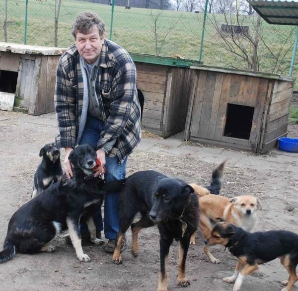 - Mamy miejsce dla 80 psów, a w tej chwili jest ich ponad 120 - mówi szef schroniska, Andrzej Zębala.