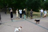 W Sandomierzu promowano akcję - zaadoptuj psiaka ze schroniska. To jedno z wydarzeń Festiwalu Filmów-Spotkań NieZwykłych