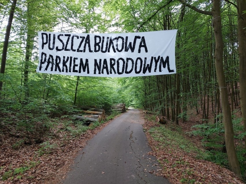 Przeszkadzają leśnikom w pracy. W Puszczy Bukowej prowadzą protest