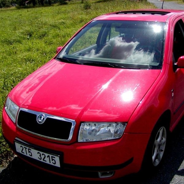 Wśród samochodów nowych zarejestrowanych w Polsce w roku 2008 na 2. pozycji znajduje się Skoda Fabia.