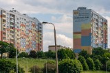 W Bydgoszczy powstanie ekologiczny mural. Wykona pracę ponad 370 drzew