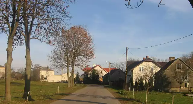 Dawniej Dzikowiny, część wsi Żabiniec w gm. Klukowo w pow. wysokomazowieckim