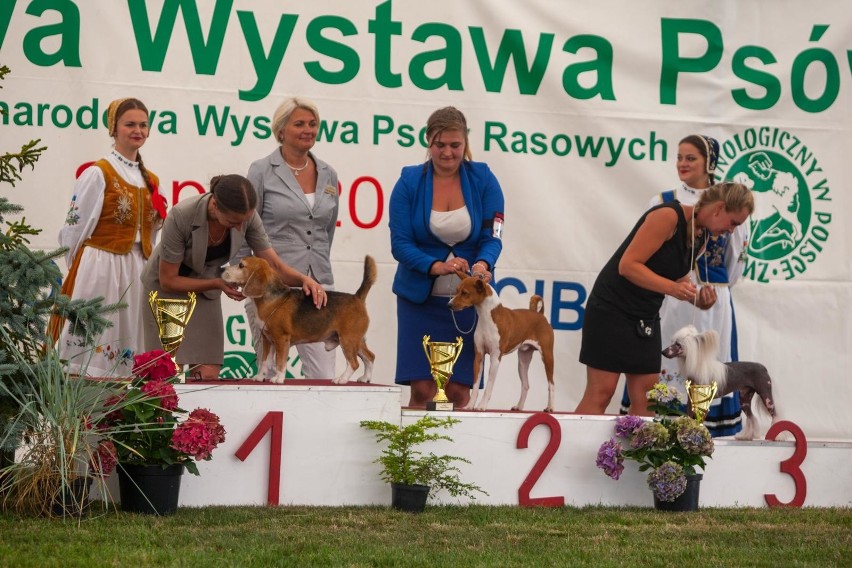 W weekend, na sopockim Hipodromie odbywa się XXVII...