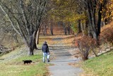 Prognoza pogody na długi weekend (11-14 listopada). Spadnie pierwszy śnieg? Taka będzie pogoda w weekend