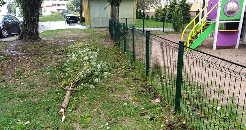 Silny wiatr i opady deszczu w Słupsku oraz regionie [zdjęcia]