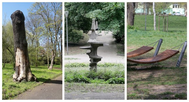 Park im. Stefana Żeromskiego jest drugim co do wielkości parkiem w Szczecinie. Leży w centrum miasta na 22 hektarach. Ma charakter ogrodu dendrologicznego. Występuje w nim ponad 170 gatunków i odmian drzew i krzewów - niektóre z nich mają ponad 100 lat.