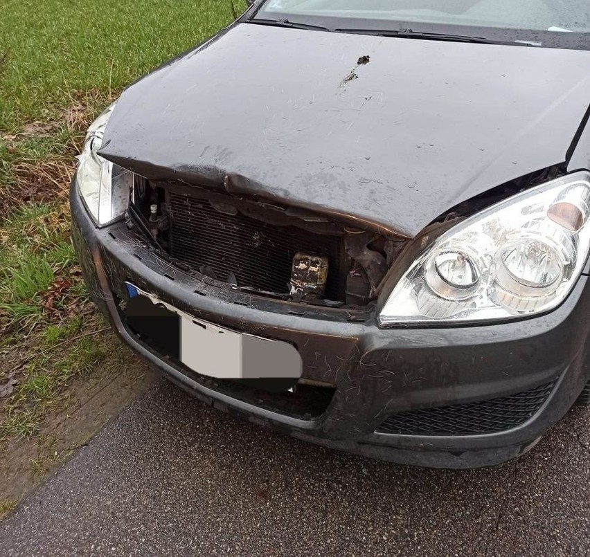 Wypadek w Barańcu, gmina Karniewo. Kierowca zderzył się z sarną. 7.04.2023