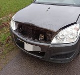 Wypadek w Barańcu, gmina Karniewo. Kierowca zderzył się z sarną. 7.04.2023