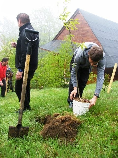 Piotr Żyła sadzi dąb Piotra