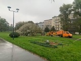 Kraków. Wielka wycinka drzew na bulwarach wiślanych. Mieszkańcy oburzeni, ZZM tłumaczy, że nie było wyjścia [ZDJĘCIA, WIZUALIZACJE]