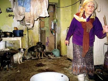82-letnia Łucja Polit od dłuższego czasu samotnie mieszka z gromadą psów. Czy uda się jej zapewnić opiekę?