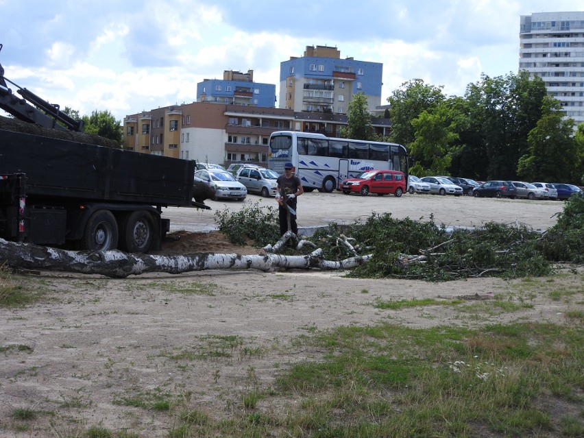 Wycinki drzew przy Kaczorowskiego. W tym roku ma ruszyć budowa biurowca. Czyli koniec z dzikim parkowaniem [ZDJĘCIA]