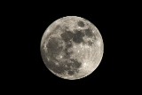Superksiężyc w obiektywie. Superpełnia nad Choroszczą. Jak oglądać? (zdjęcia)