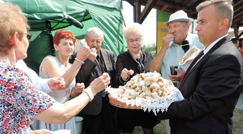 Mieszkańcy gminy Dąbrowa dziś świetowali. Odbyły się Targi Dębowe i dożynki w Mokrem [zdjęcia]