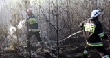 Podpalacz grasuje w lesie w Jadachach?! (zdjęcia, wideo)
