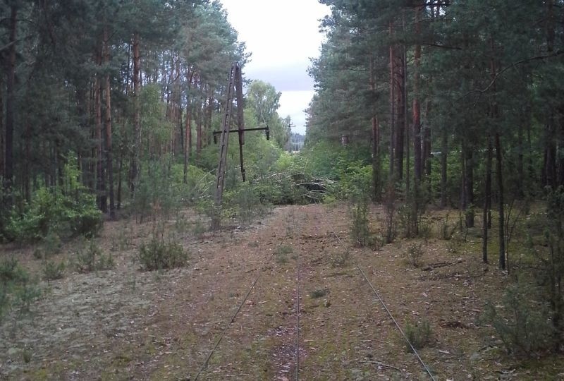 Burze w Podlaskiem. Wichura łamała betonowe słupy (zdjęcia)