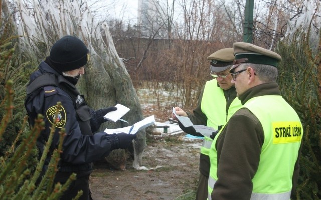 Kontrola przeprowadzona przez toruńskich municypalnych i Straż Leśną