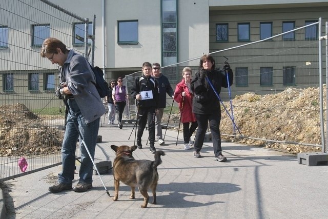 Gra miejska nordic walking w Chorzowie