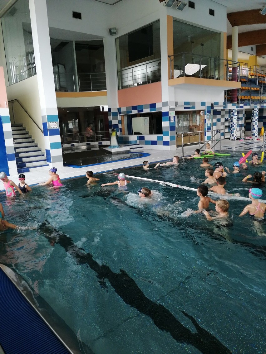 Uczniowie z Krynek i Stykowa uczyli się pływać. Przez pandemię pobrali połowę lekcji [ZDJĘCIA]