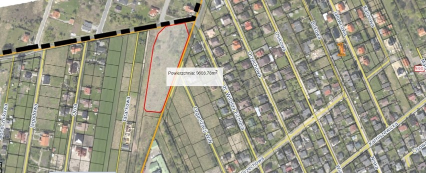 Pabianice. Nowy projekt ekologiczny na Zatorzu. Zamieszkają tu... pszczoły. W planach jest też park