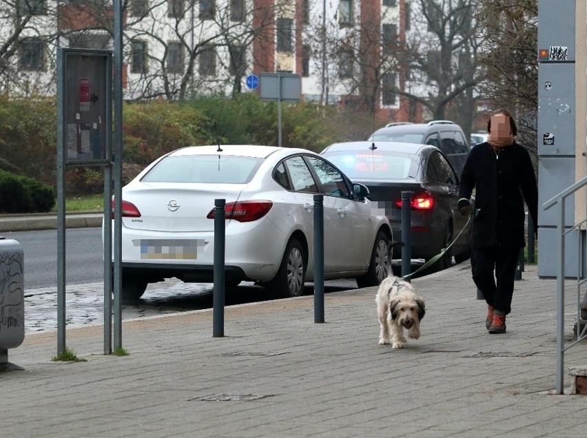 Do wypadku doszła przy zjeździe z mostów Warszawskich na...