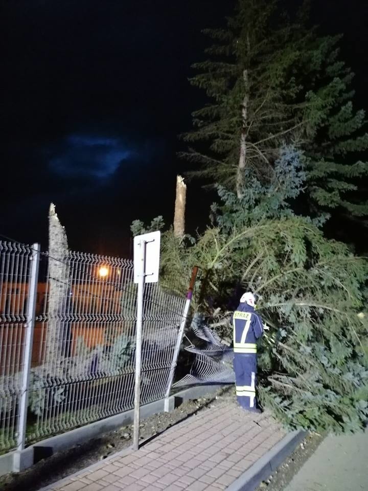 Wichura na Sądecczyźnie. Ponad 160 interwencji strażaków. Powalone drzewa, zerwane dachy