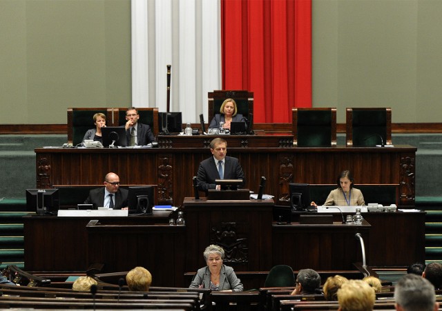 In vitro: Sejm przyjął ustawę o leczeniu niepłodności/ Debata o in vitro