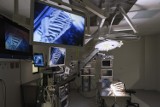 Instytut Medycyny Weterynaryjnej w Toruniu oficjalnie otwarty! "Lekarze dyżurują 24 godziny na dobę przez wszystkie dni w roku" [zdjęcia]