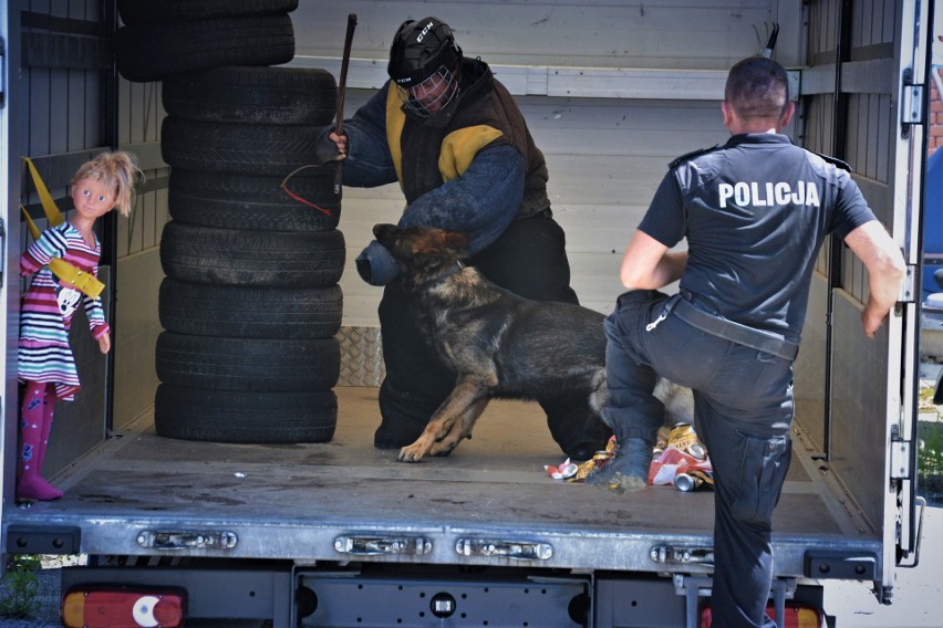 Najlepsze psy z małopolskiej policji w akcji [GALERIA]