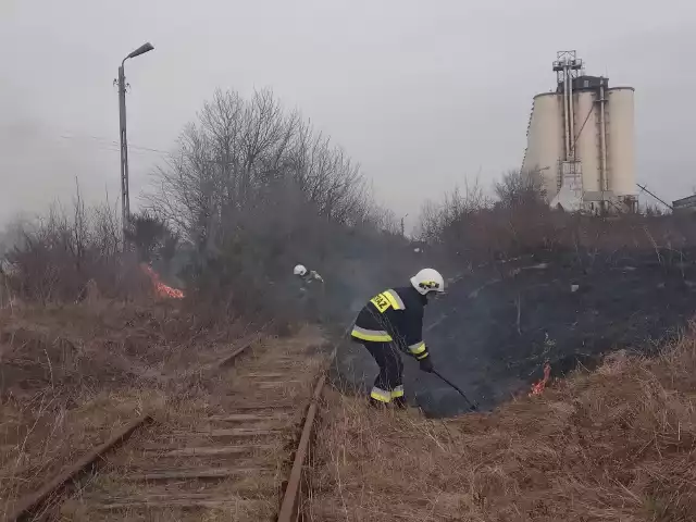 Groźnie mógł się zakończyć pożar łąki w Jezierzycach pod Słupskiem. Na szczęście w porę dotarli strażacy z OSP Bukówka. Do zdarzenia doszło w sobotę, 18 marca, przed godziną 14.