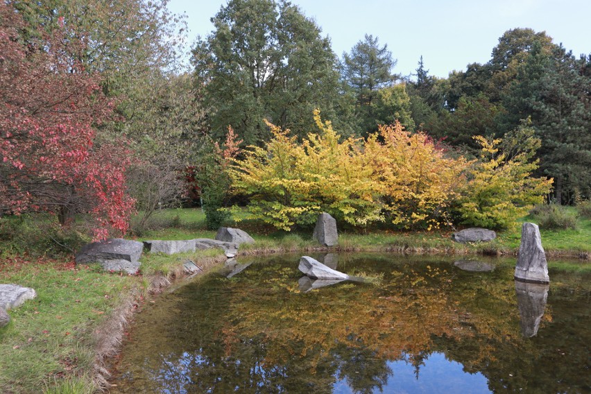 Bajkowa sceneria panuje też w ogrodzie japońskim.