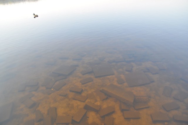 Fragment brzegu jeziora w Szczecinku na wysokości liceum ogólnokształcącego.