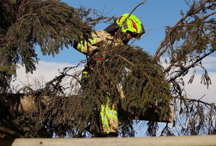 Bukowina Tatrzańska. Wiatr zwalił drzewo na stragany regionalne [ZDJĘCIA]