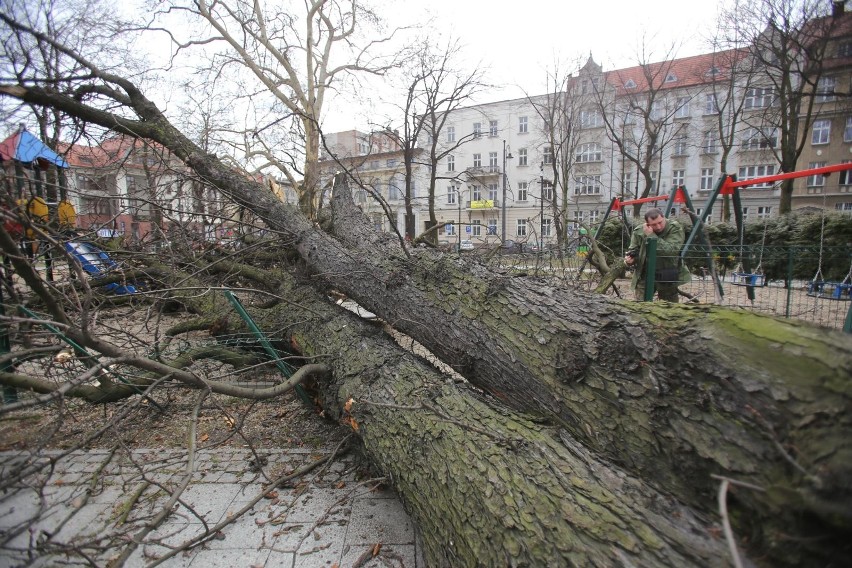 CZYTAJ W MAGAZYNIE: Kto nie wierzy w zmiany klimatu? 